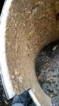 Check out this hot water cylinder which has just an inch of scale!